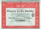 S.A. des Placers du Rio Namby