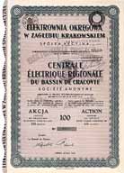 Centrale Électrique Régionale du Bassin de Cracovie S.A. (Elektrownia Okregowa w Zaglebiu Krakowskiem Sp. Akc.)